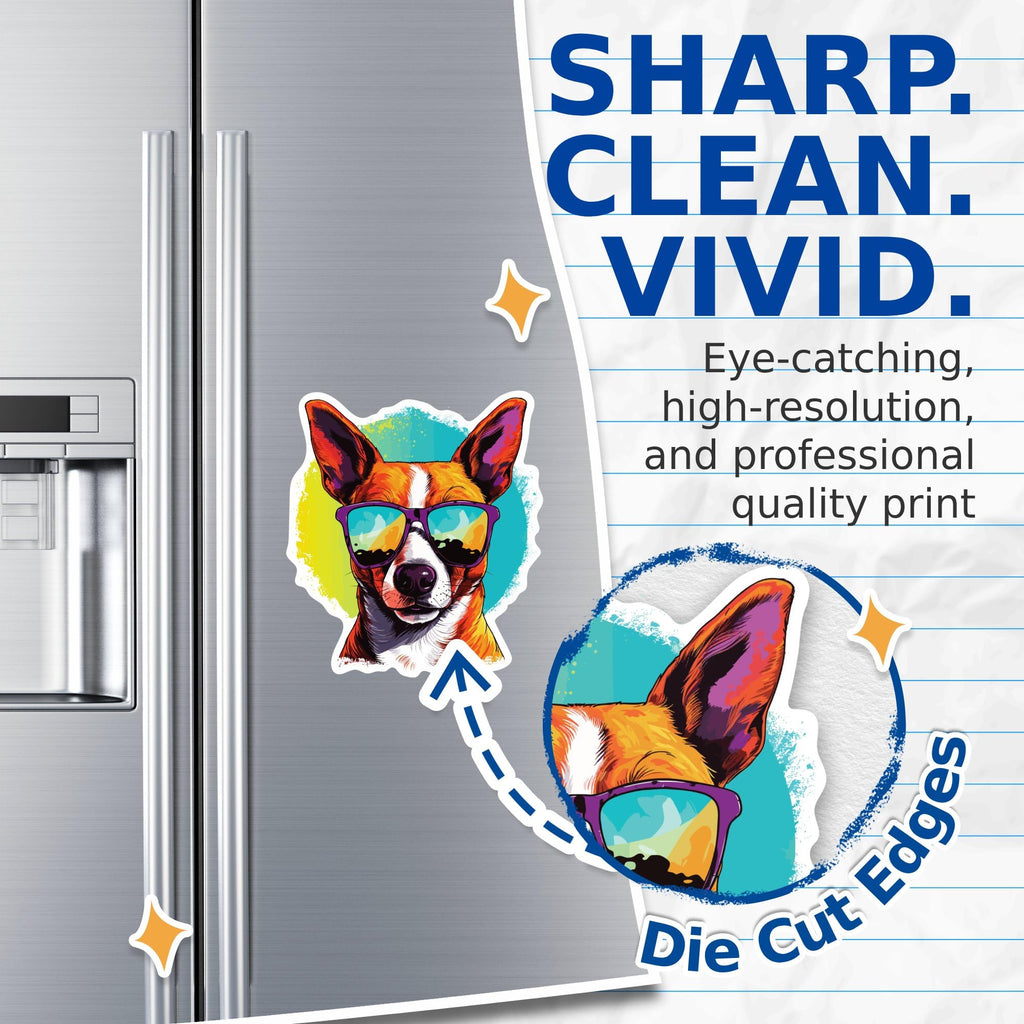 (2 Pack) Basenji Dog Magnets - Basenji with Sunglasses - Choose FromOver 100 Dog Breeds - 5" On Longest Side - Premium Magnet - Made in USA - MAG0307