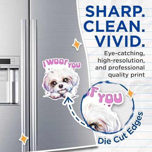 (2 Packs) I Woof You Bichon Frise Magnets - Cute Bichon Frise Magnets - 5 Inches On Longest Side - Premium Magnet - for Fridges, Toolboxes, Cars - Made in USA - MAG2352