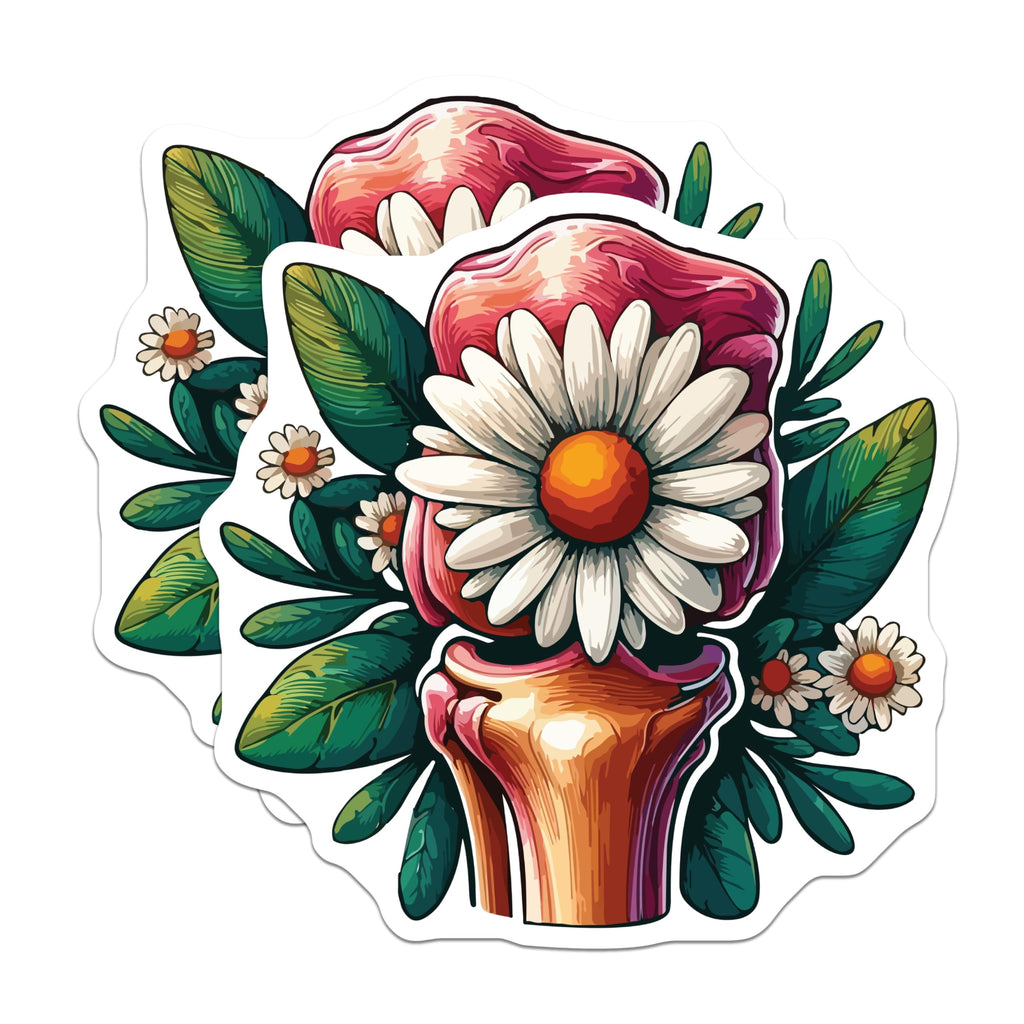 (2 Pack) Daisy Bone Magnets - Floral Anatomy Art - Unique Medical Decor - Healing Botanical Design - 5 Inches On Longest Side - Thick Durable Magnet - Made in USA - MAG19761