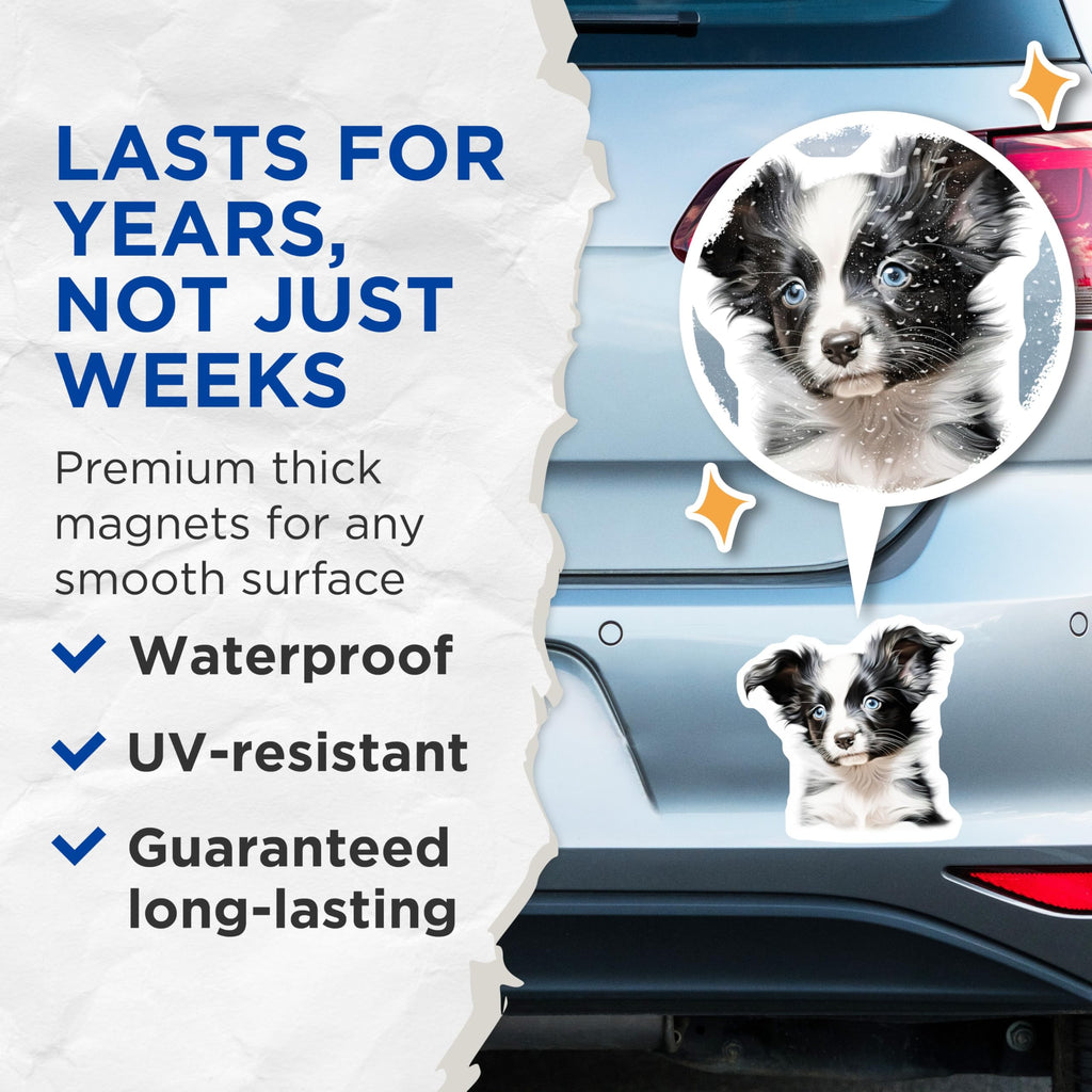 (2 Pack) Border Collie Puppy Magnets - Blue Eyed Dog Mom - Cute Pet Lover Decor - 5 Inches On Longest Side - Thick Durable Magnet - Made in USA - MAG30331