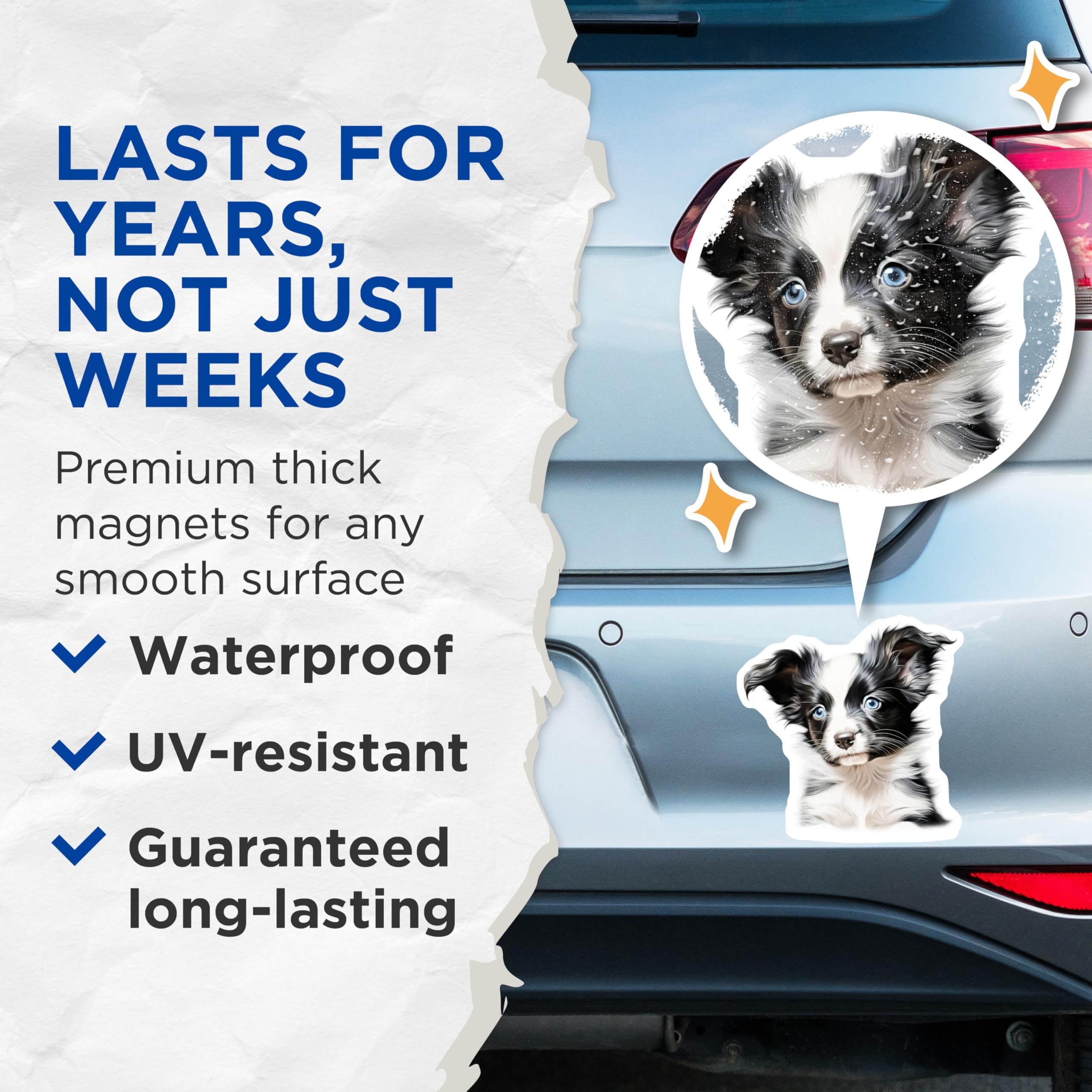(2 Pack) Border Collie Puppy Magnets - Blue Eyed Dog Mom - Cute Pet Lover Decor - 5 Inches On Longest Side - Thick Durable Magnet - Made in USA - MAG30331