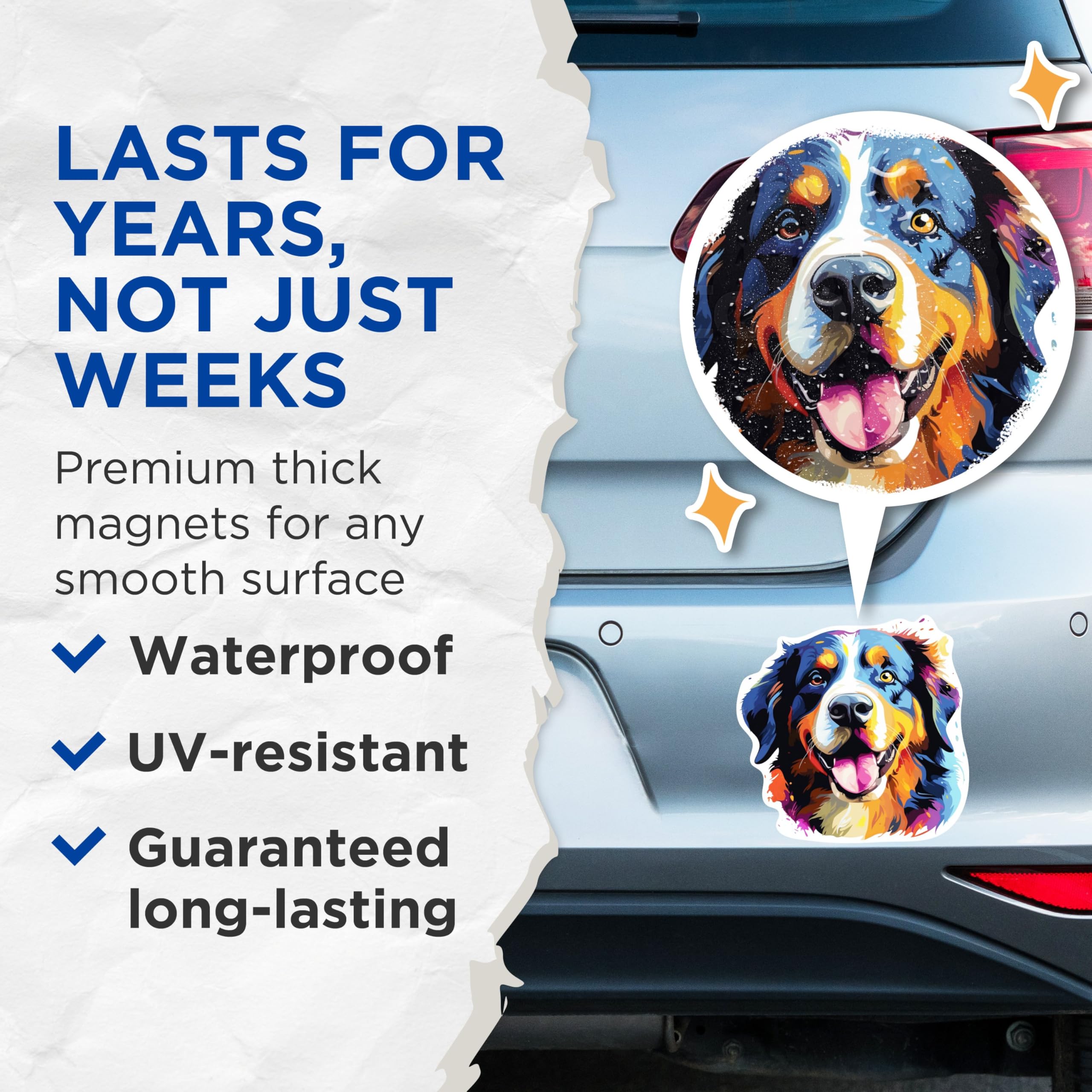 (2 Pack) Bernese Mountain Dog Breed Magnets - 5 Inches On Longest Side - Choose from Over 100 Dog Breeds - for Cars, Refrigerators, Toolboxes - Made in USA - MAG1778