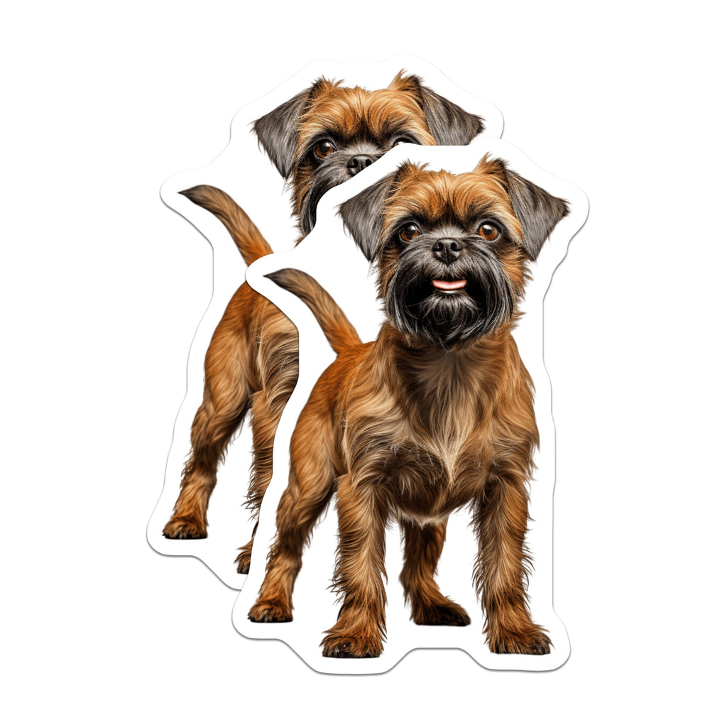 (2 Pack) Brussels Griffon Magnets - Adorable Dog Breed Artwork - Pet Owner Refrigerator Home Decor - 5 Inches On Longest Side - Thick Durable Magnet - Made in USA - MAG24876