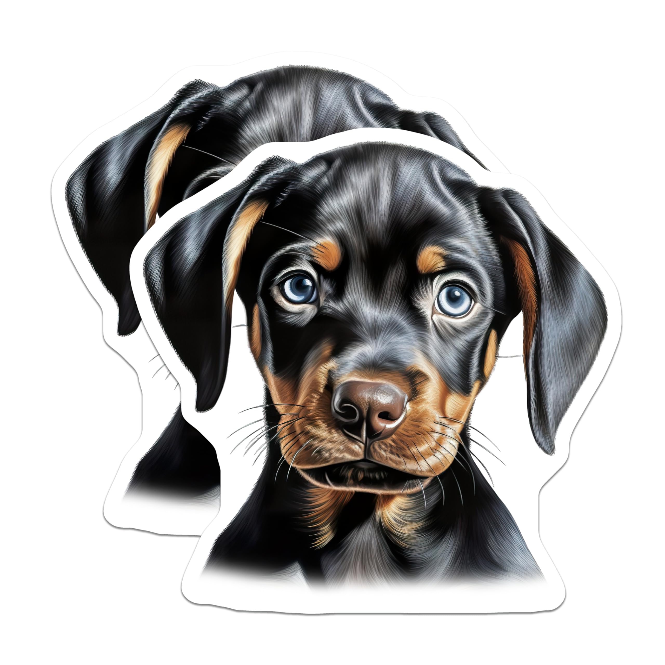 (2 Pack) Doberman Puppy Magnets - Cute Dog Refrigerator Decor - Pet Owner Kitchen Accessories - 5 Inches On Longest Side - Thick Durable Magnet - Made in USA - MAG29687