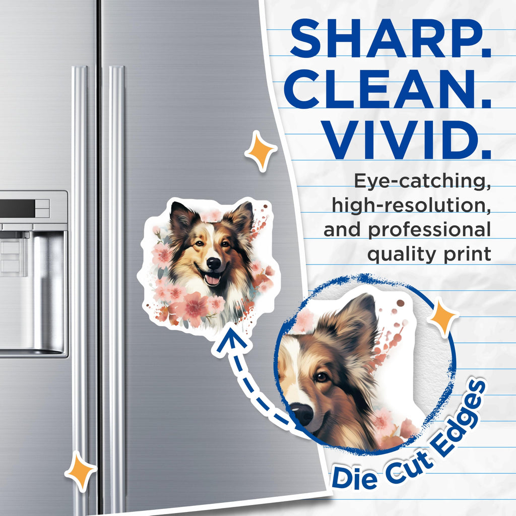 (2 Pack) Sheltie Magnets - Happy Floral Dog Art - Shetland Sheepdog Puppy Collectible - Pet Lover Home Decor Accent - 5 Inches On Longest Side - Thick Durable Magnet - Made in USA - MAG23617
