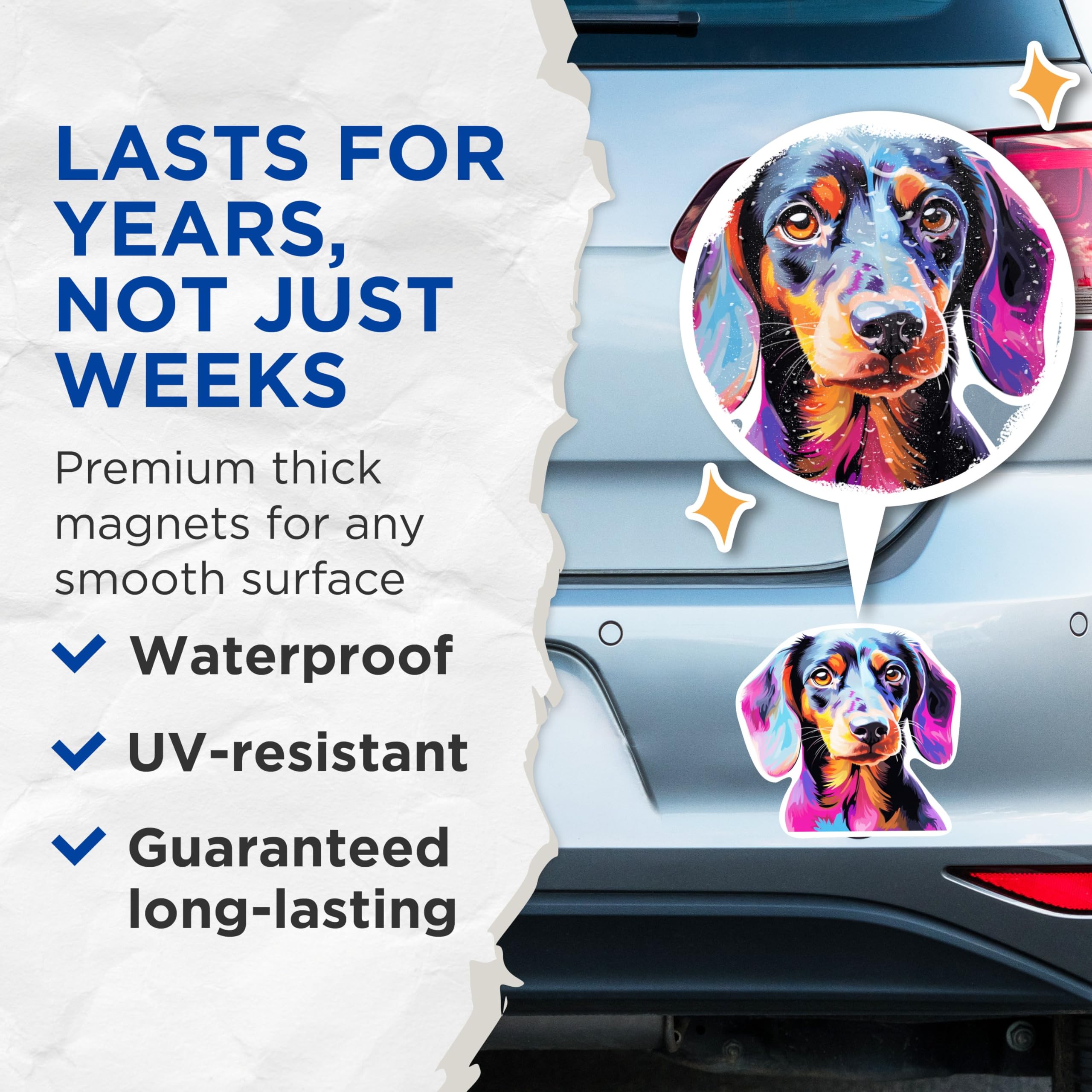 (2 Pack) Dachshund Dog Breed Magnets - 5 Inches On Longest Side - Choose from Over 100 Dog Breeds - for Cars, Refrigerators, Toolboxes - Made in USA - MAG1842