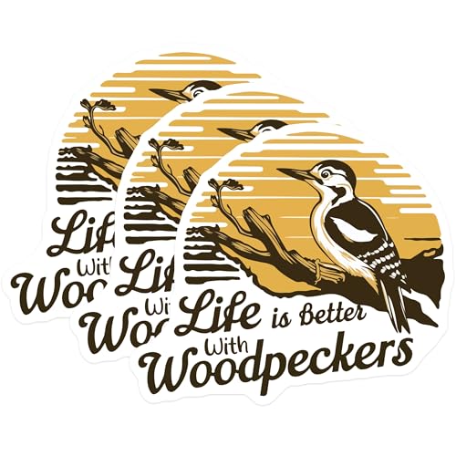 (3 Pack) Woodpecker Decals - Bird Lover - Life is Better - Laptop Decal- 3 Inches On Longest Side - Easy Peel & Apply - Made in USA - 3MCS5091