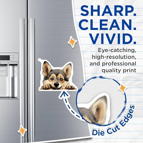 (2 Pack) Animal Lover Fridge Decor Magnet - 5" On Longest Side - Sticks to Smooth Flat Surfaces - Made in USA - MAG10291