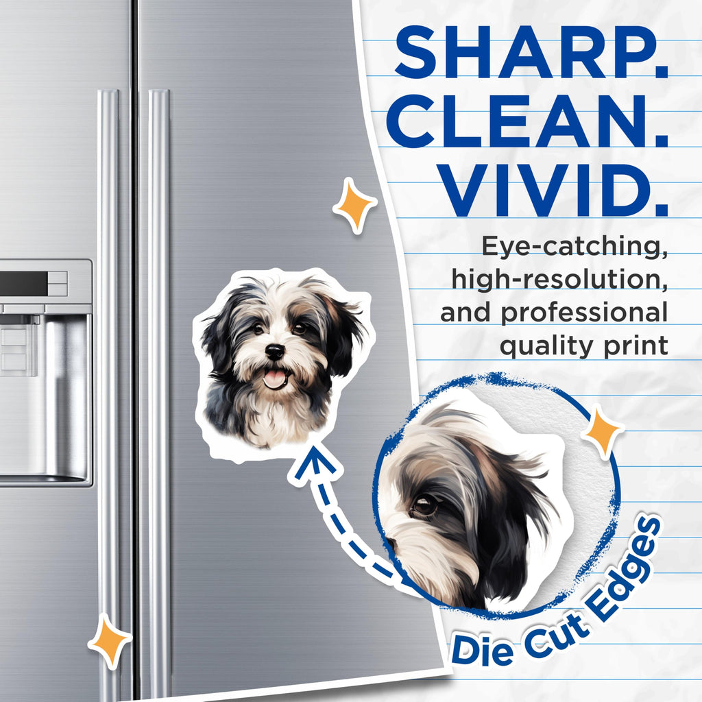 (2 Pack) Shih Tzu Havanese Magnets - Cute Dog Refrigerator Decor - Fluffy Puppy Pet Lover Art - 5 Inches On Longest Side - Thick Durable Magnet - Made in USA - MAG27752