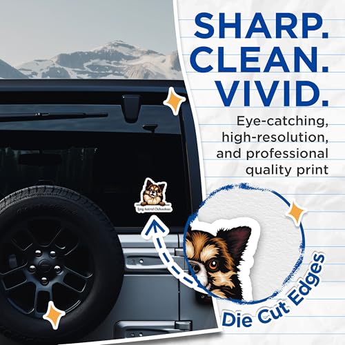 (2 Pack) Long Haired Chihuahua Stickers - Cute Dog Stickers - Pet Lover Sticker Decal for Laptop Car and Water Bottle - 5" On Longest Side - Sticks to Smooth Flat Surfaces - Made in USA - BMCS4221