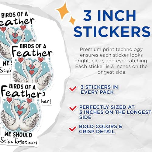 (3 Pack) Birds of A Feather Decals - Swan Love Decal - Laptop Decal - 3 Inches On Longest Side - Easy Peel & Apply - Made in USA - 3MCS4548