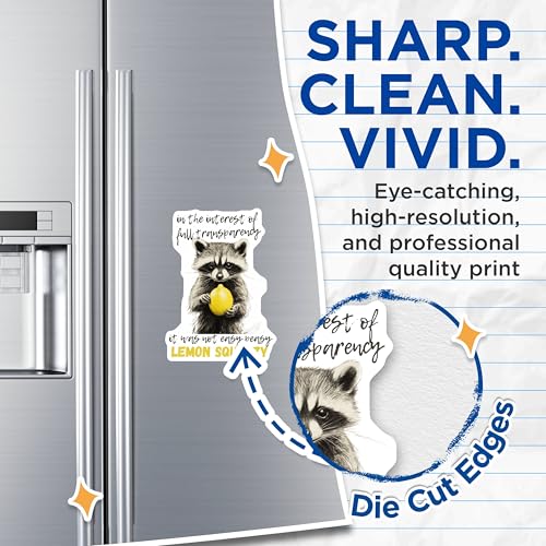 (2 Pack) Funny Animal Magnets - Cute Raccoon Magnets - Humorous Kitchen Magnets - 5" On Longest Side - for Cars, Refrigerators, Toolboxes, Lockers - Made in USA BMCS3431