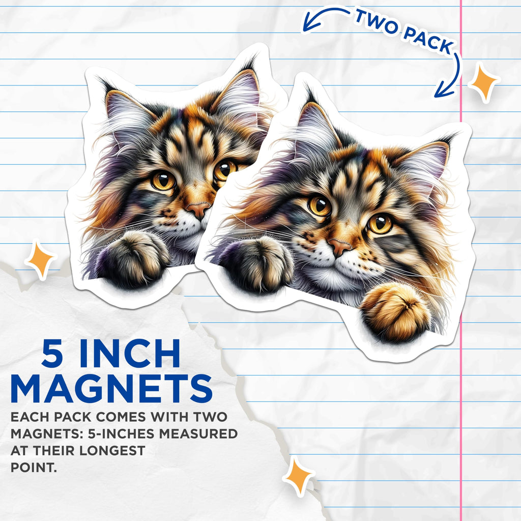 (2 Pack) Maine Coon Magnets - Striped Cat Refrigerator Magnet - Pet Lover Novelty Decor - 5" On Longest Side - Premium Magnet - for Cars, Refrigerators, Toolboxes, Lockers - Made in USA - MAG15177