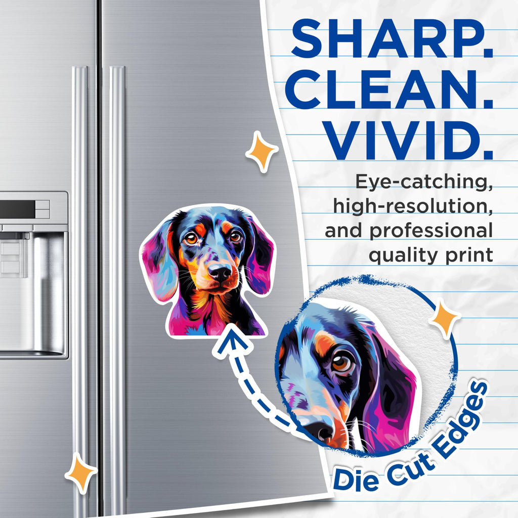 (2 Pack) Dachshund Dog Breed Magnets - 5 Inches On Longest Side - Choose from Over 100 Dog Breeds - for Cars, Refrigerators, Toolboxes - Made in USA - MAG1842