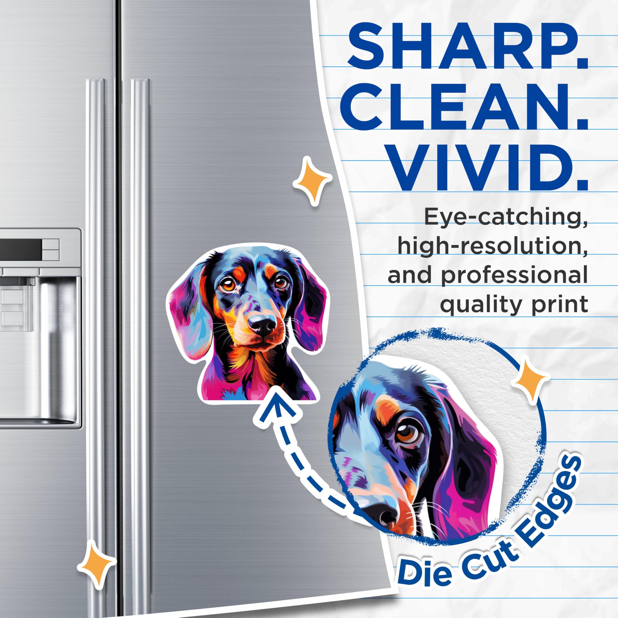 (2 Pack) Dachshund Dog Breed Magnets - 5 Inches On Longest Side - Choose from Over 100 Dog Breeds - for Cars, Refrigerators, Toolboxes - Made in USA - MAG1842