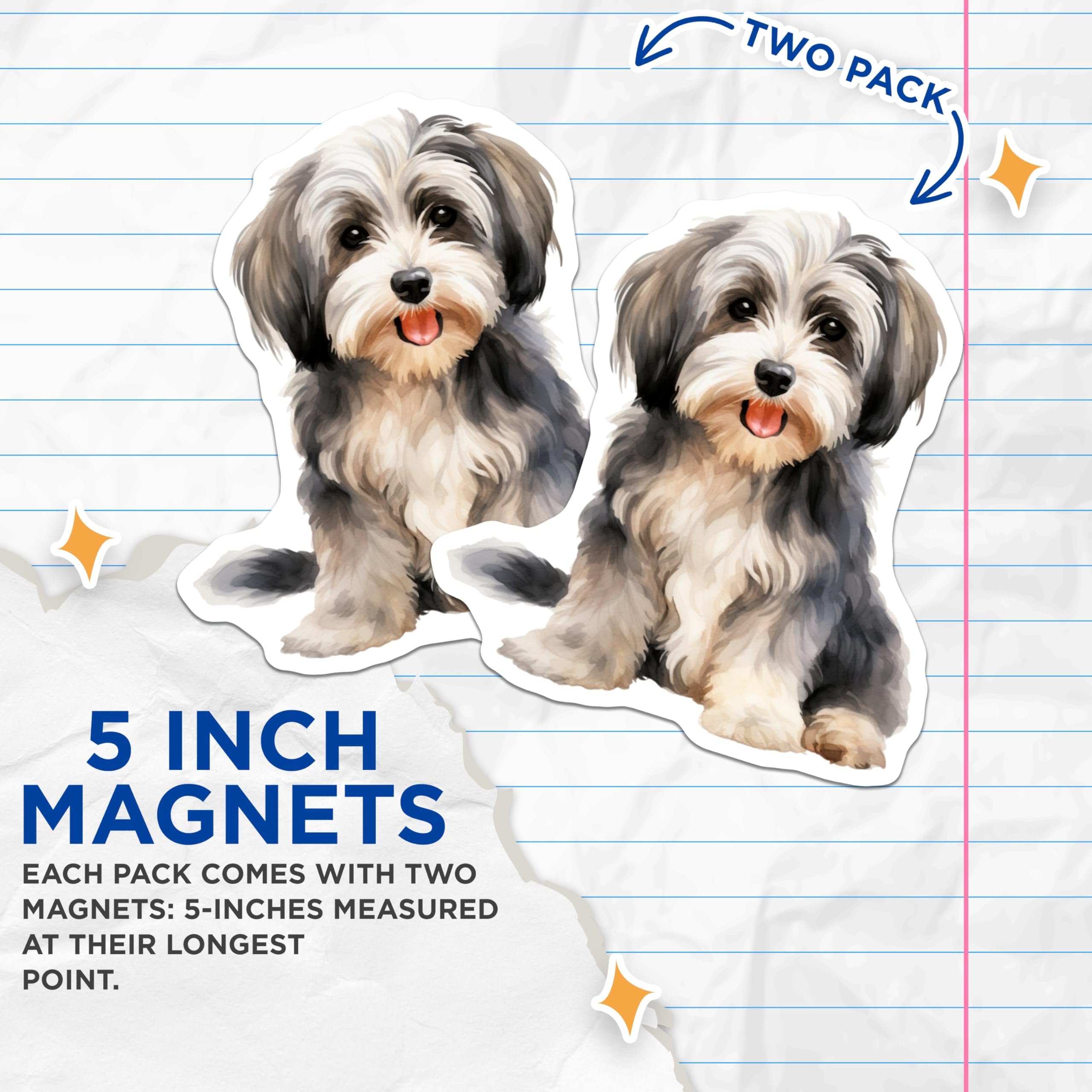 (2 Pack) Cute Watercolor Dog Magnets - Fluffy Puppy Pet Art - Havanese Shih Tzu Dog Mom Décor - 5 Inches On Longest Side - Thick Durable Magnet - Made in USA - MAG26219