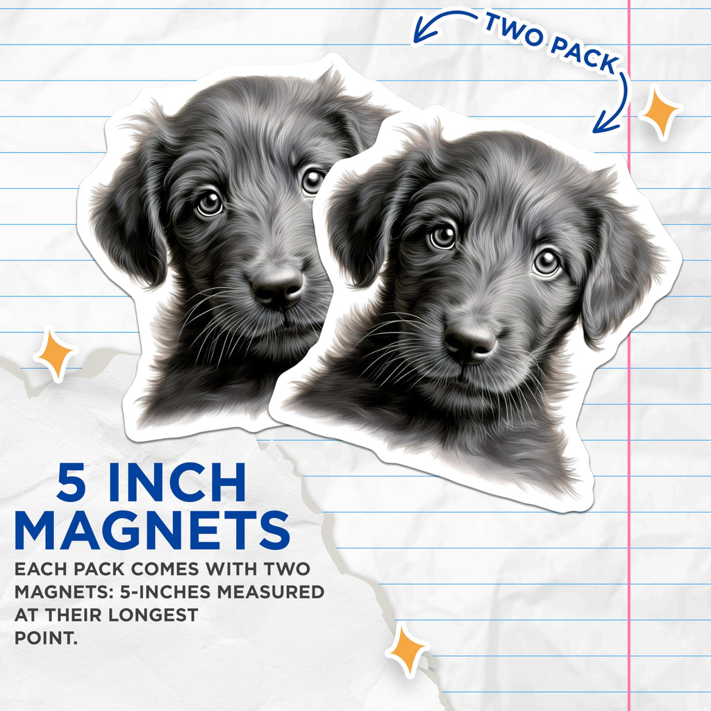 (2 Pack) Fluffy Puppy Magnets - Dog Lover Kitchen Decor - Pet Parent Fridge Accent - 5 Inches On Longest Side - Thick Durable Magnet - Made in USA - MAG30539