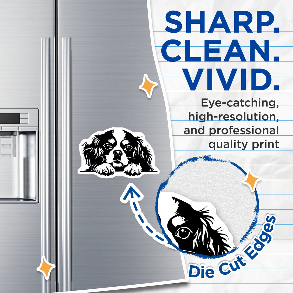 (2 Pack) Cavalier King Charles Spaniel Magnets - Dog Lover Decor - Pet Owner Fridge Magnet - Puppy Art Locker Whiteboard Animal Decor - 5" - Thick Durable Magnet - Made in USA - MAG39704