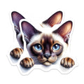 (2 Pack) Siamese Cat Magnets - Fridge Magnets - Cute Cat Decor - 5" On Longest Side - Premium Magnet - for Cars, Refrigerators, Toolboxes, Lockers - Made in USA - MAG15339