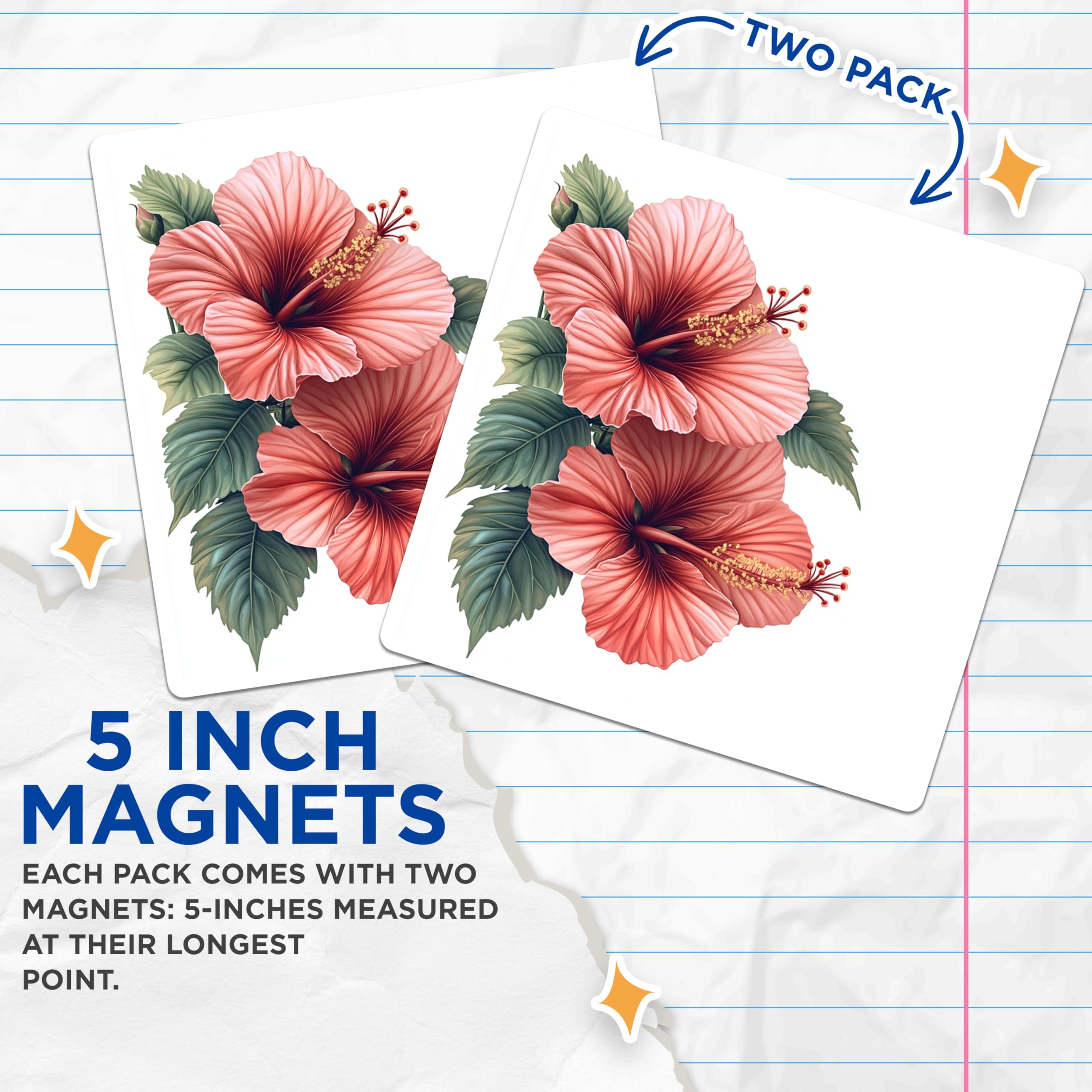 (2 Pack) Hibiscus Flower Magnets - Tropical Floral Decor - Summer Refrigerator Magnets - Botanical Art for Kitchen - 5 Inches On Longest Side - Thick Durable Magnet - Made in USA - MAG29414
