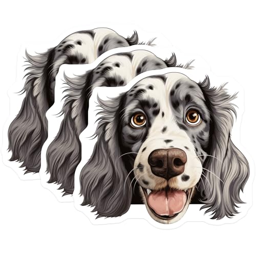 (3 Pack) English Setter Decals - Dog Breed Stickers - Laptop Decals - 3 Inches On Longest Side - Easy Peel & Apply - Made in USA - 3MCS8739