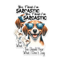 (2 Pack) Funny Dog Stickers - Sarcastic Dog Stickers - Hilarious Pet Stickers - 5" On Longest Side - Sticks to Any Smooth Flat Surface - Made in USA - BMCS2932