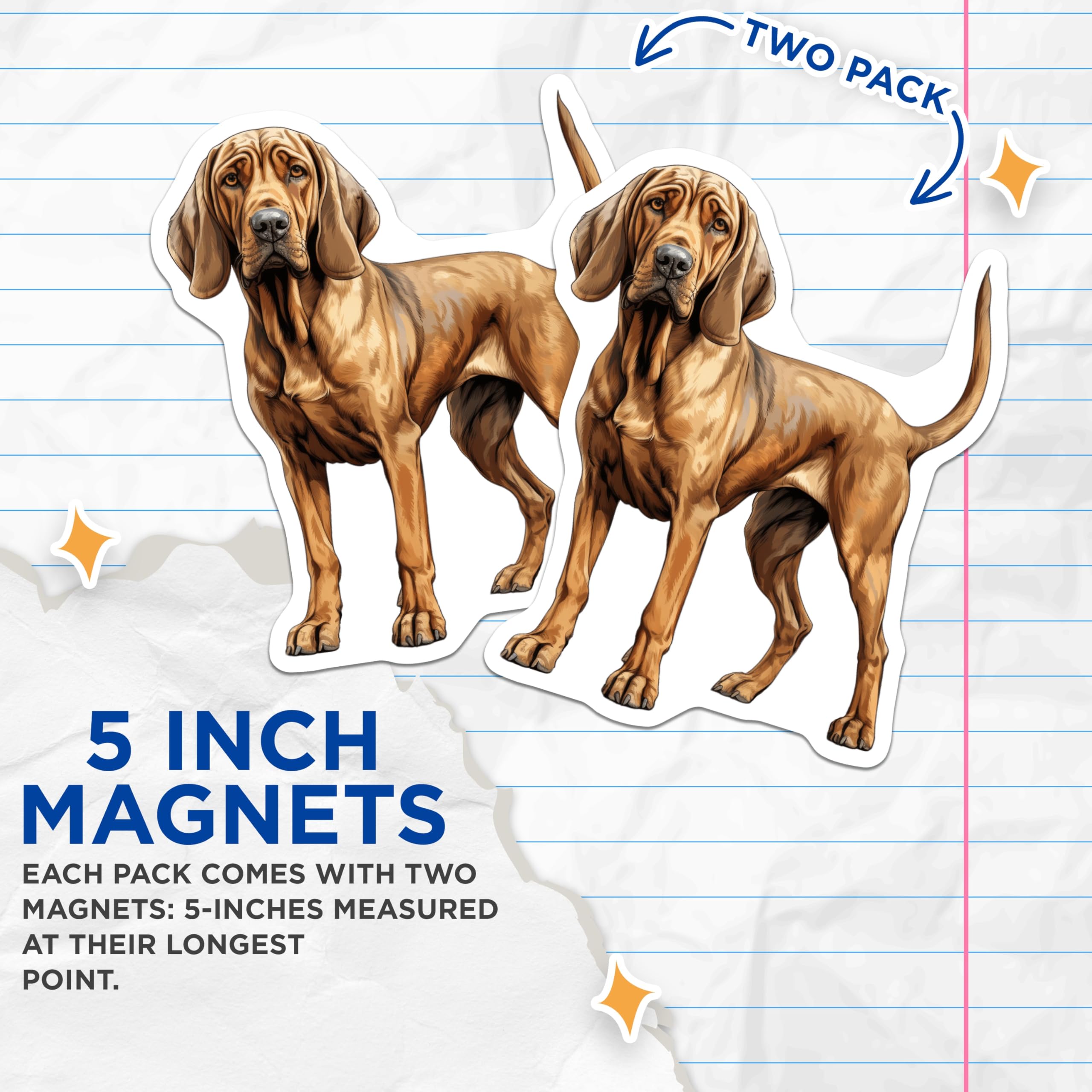 (2 Pack) Bloodhound Dog Magnets - Realistic Hound Lover Refrigerator Magnets - Pet Parent Decor for Home Kitchen - 5 Inches On Longest Side - Thick Durable Magnet - Made in USA - MAG30670