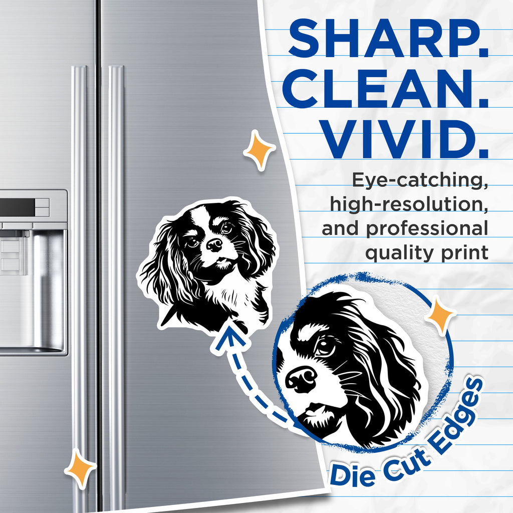 (2 Pack) Cavalier King Charles Spaniel Magnets - Dog Mom Decor - Pet Owner Kitchen Accessories - Animal Lover Refrigerator Art - 5" - Thick Durable Magnet - Made in USA - MAG39600
