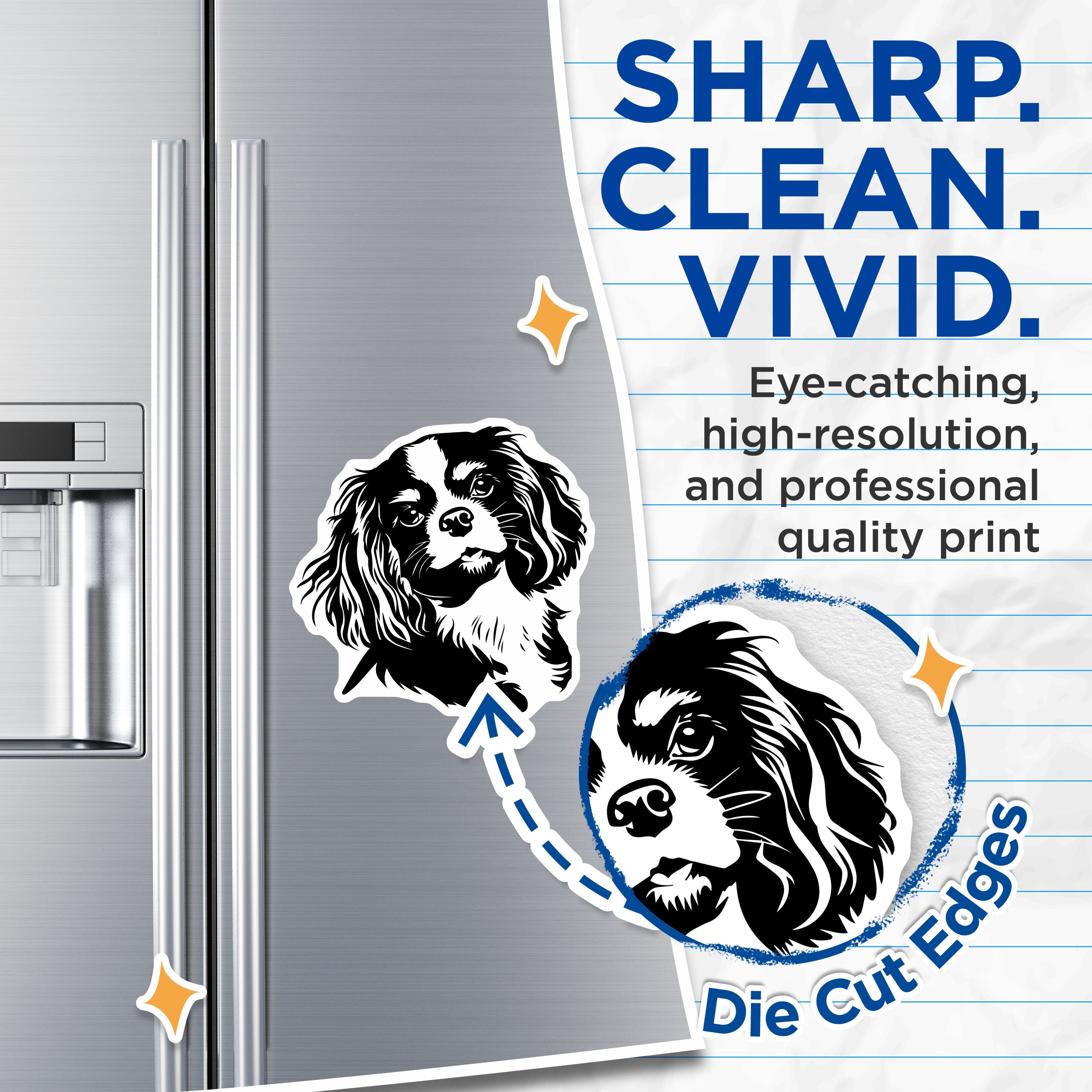 (2 Pack) Cavalier King Charles Spaniel Magnets - Dog Mom Decor - Pet Owner Kitchen Accessories - Animal Lover Refrigerator Art - 5" - Thick Durable Magnet - Made in USA - MAG39600