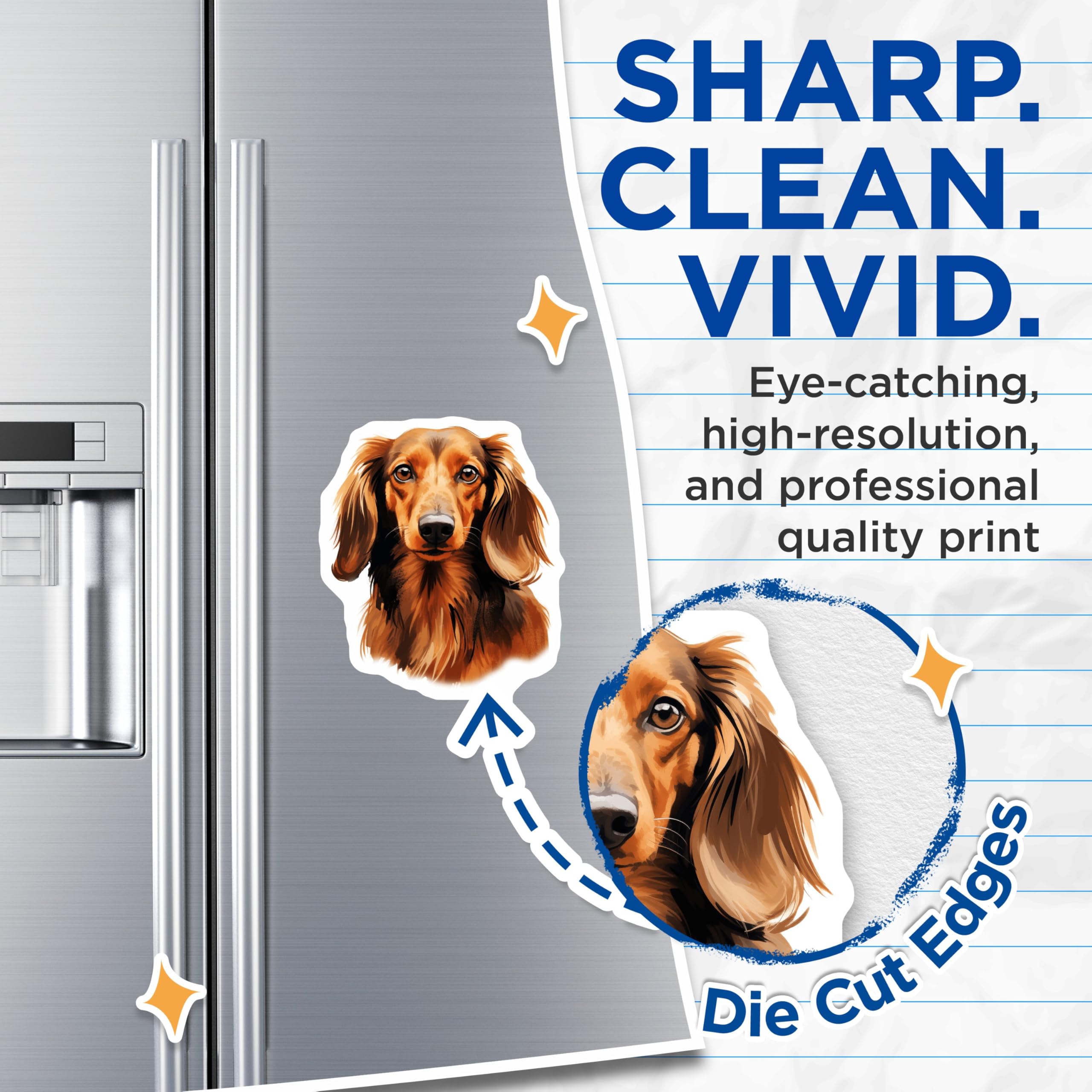 (2 Pack) Long-haired Dachshund Magnets - Wiener Dog Art - Pet Lover Decor - 5 Inches On Longest Side - Thick Durable Magnet - Made in USA - MAG23713