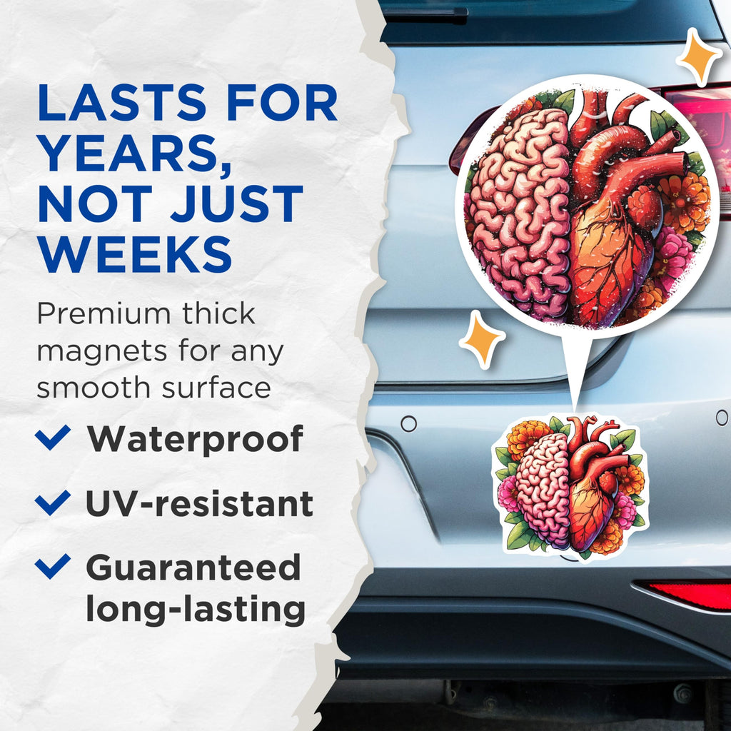 (2 Pack) Brain Heart Magnets - Floral Anatomy Art Decor - Mind Emotion Balance Design - Science Aesthetic Magnets - 5 Inches On Longest Side - Thick Durable Magnet - Made in USA - MAG19626