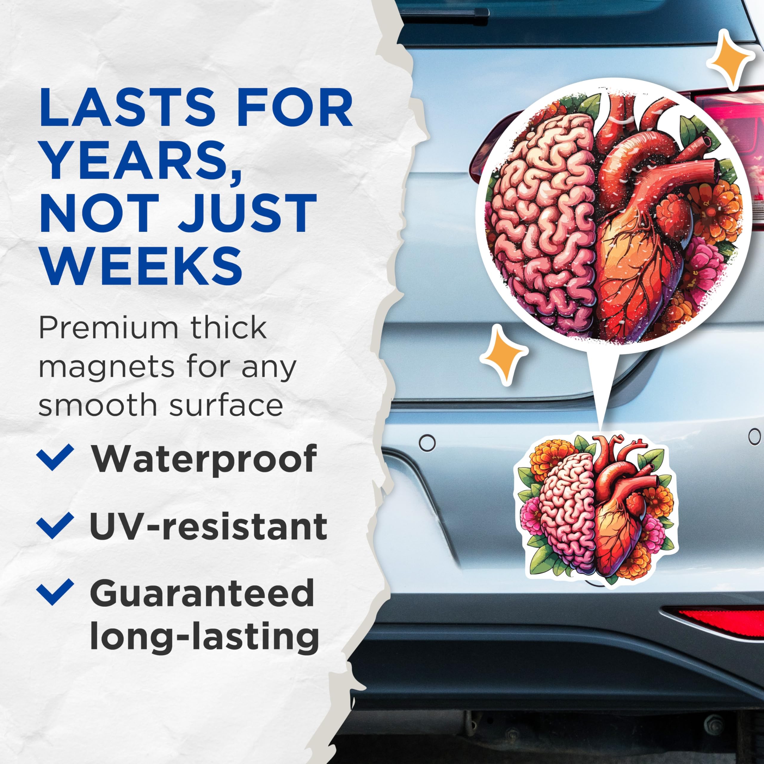 (2 Pack) Brain Heart Magnets - Floral Anatomy Art Decor - Mind Emotion Balance Design - Science Aesthetic Magnets - 5 Inches On Longest Side - Thick Durable Magnet - Made in USA - MAG19626