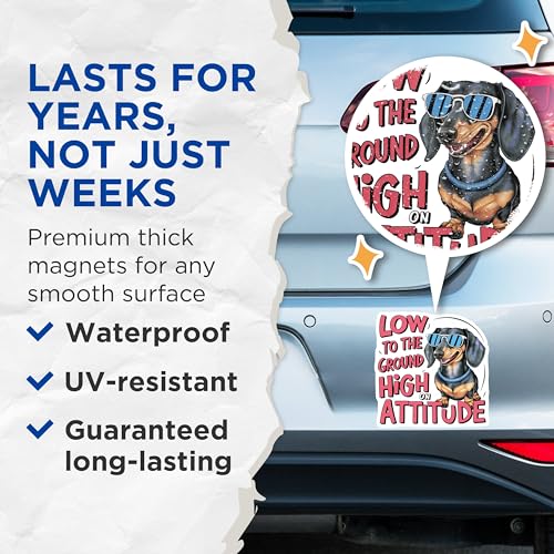 (2 Pack) Low to The Ground High On Attitude Magnets Magnets - Dachshund Magnet - Funny Dog Quote Magnet - 5" On Longest Side - Made in USA - Sticks to Refrigerators & Metal Surfaces - MAG8492