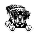 (2 Pack) Rottweiler Magnets - Dog Lover Decor - Fridge Magnets Cute - Pet Breed Home Decor - 5" On Longest Side - Premium Magnet - for Cars, Refrigerators, Toolboxes, Lockers - Made in USA - MAG16117