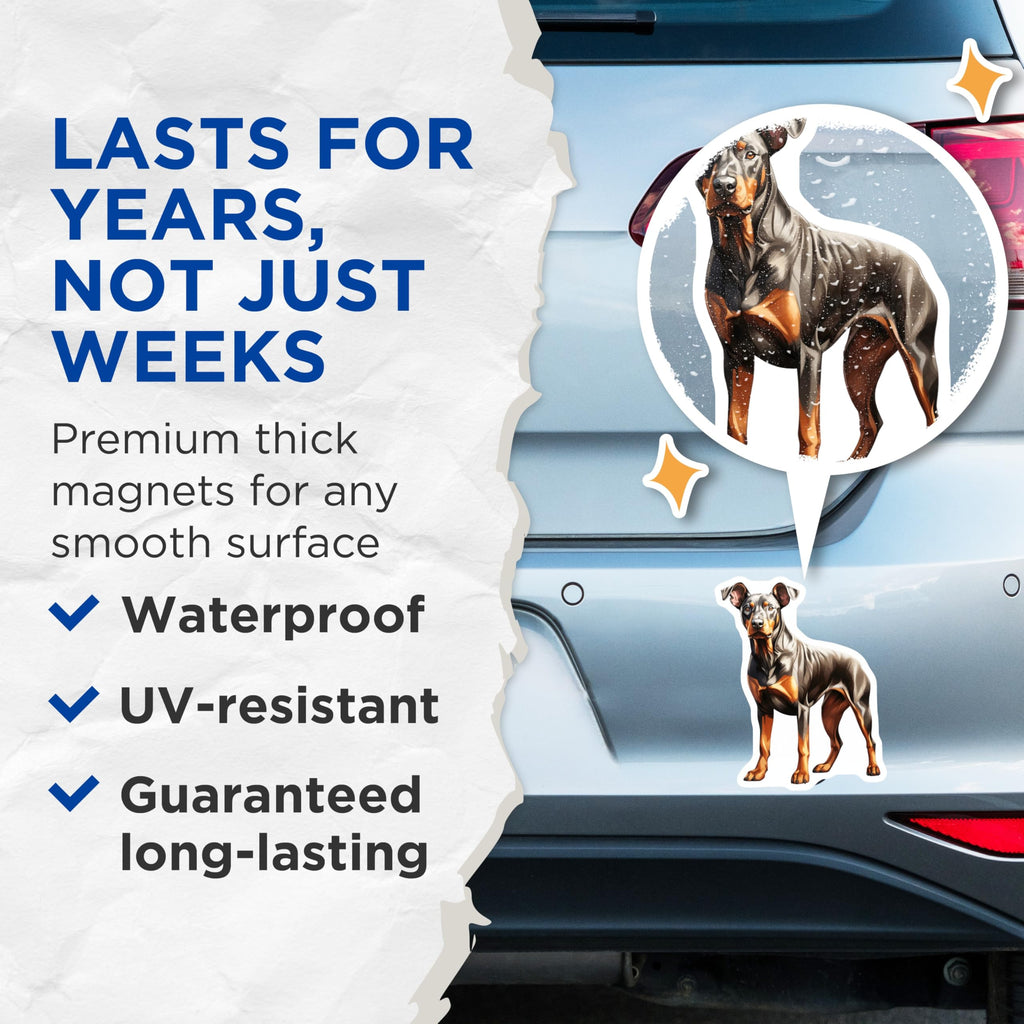 (2 Pack) Doberman Pinscher Magnets - Dog Lover Kitchen Decor - Pet Parent Refrigerator Magnets - 5 Inches On Longest Side - Thick Durable Magnet - Made in USA - MAG28448