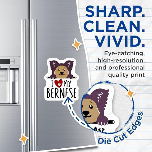 (2 Pack) I Love My Bernese Dog Magnets - Cute Dog Fridge Magnets - Dog Breed Car Magnets - 5" On Longest Side - for Cars, Fridges, Toolboxes - Made in USA - MAG4300