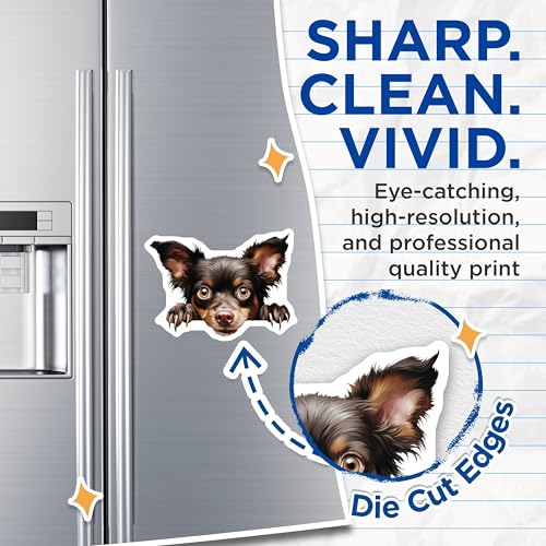 (2 Pack) Animal Enthusiast Home Decor Magnet - 5" On Longest Side - Sticks to Smooth Flat Surfaces - Made in USA - MAG10231