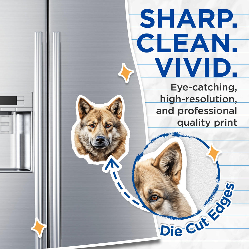 (2 Pack) Timber Wolf Magnets - Realistic Canine Art - Majestic Wild Dog Portrait - Animal Lover Fridge Decor - 5 Inches On Longest Side - Thick Durable Magnet - Made in USA - MAG23985