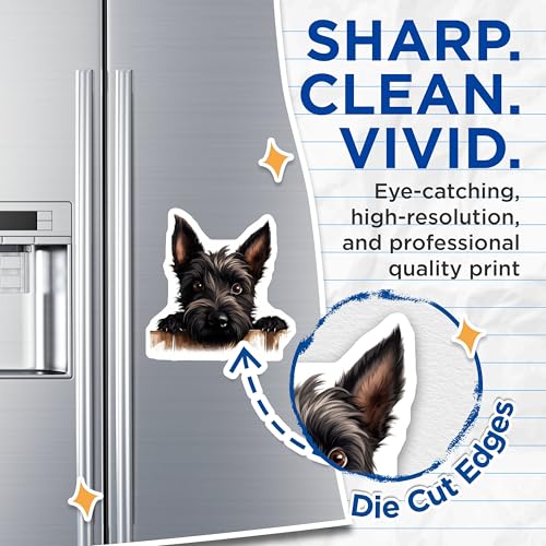 (2 Pack) Adorable Canine Decor Magnet - 5" On Longest Side - Sticks to Smooth Flat Surfaces - Made in USA - MAG10272