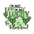 (2 Pack) Blessed Not Lucky Magnets - St Patricks Day Irish Decor - Green Leopard Print Shamrock Plaid Hearts - 5 Inches On Longest Side - Thick Durable Magnet - Made in USA - MAG20798