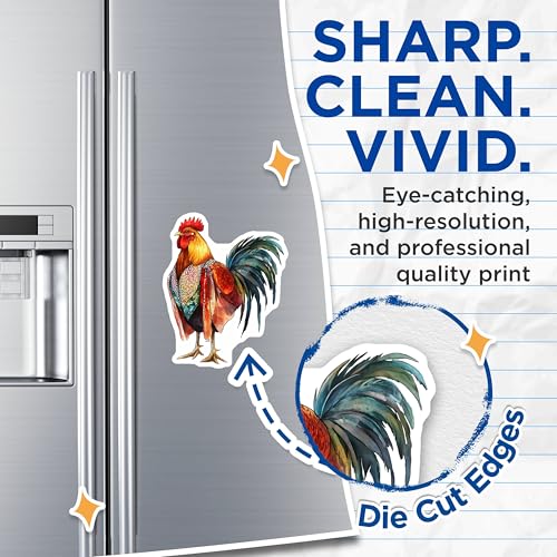 (2 Pack) Chicken Illustration Magnet - Farmhouse Kitchen Decor - Colorful Animal Art - 5" On Longest Side - Sticks to Smooth Flat Surfaces - Made in USA - MAG9513