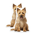(2 Pack) Adorable Terrier Magnets - Dog Lover Decor - Happy Pet Refrigerator Art - 5 Inches On Longest Side - Thick Durable Magnet - Made in USA - MAG30205