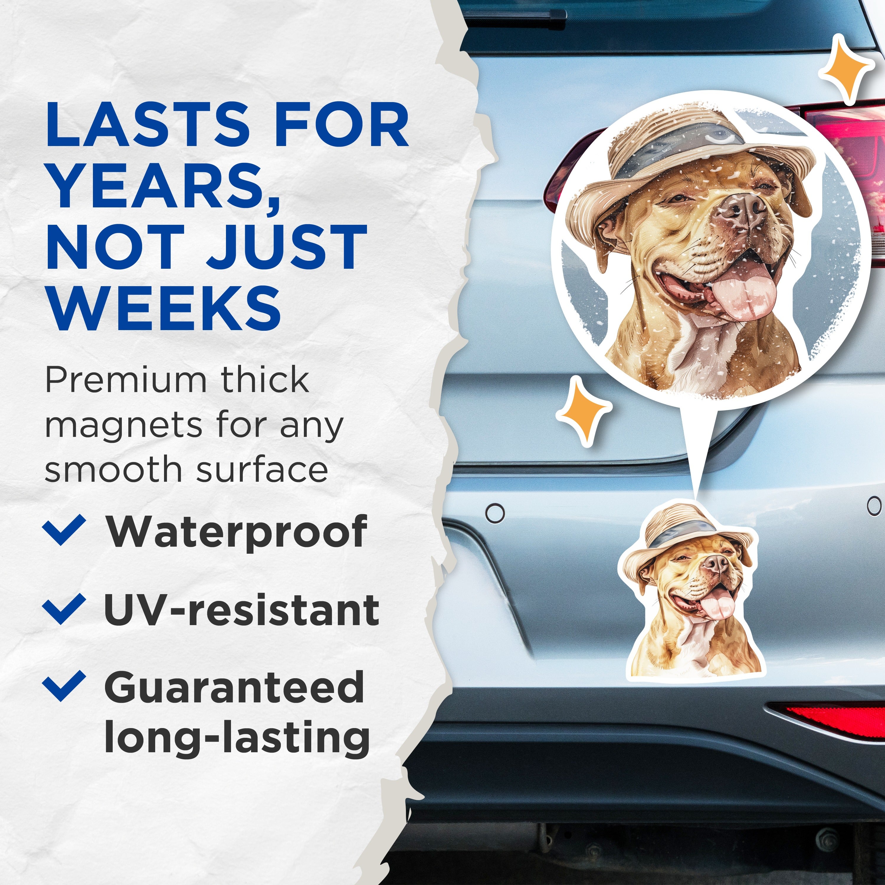 (2 Pack) Pitbull Dog Magnets - Happy Smiling Pitbull in Hat - Watercolor Dog Art - Pet Lover Fridge Decor - 5 Inches On Longest Side - Thick Durable Magnet - Made in USA - MAG36667