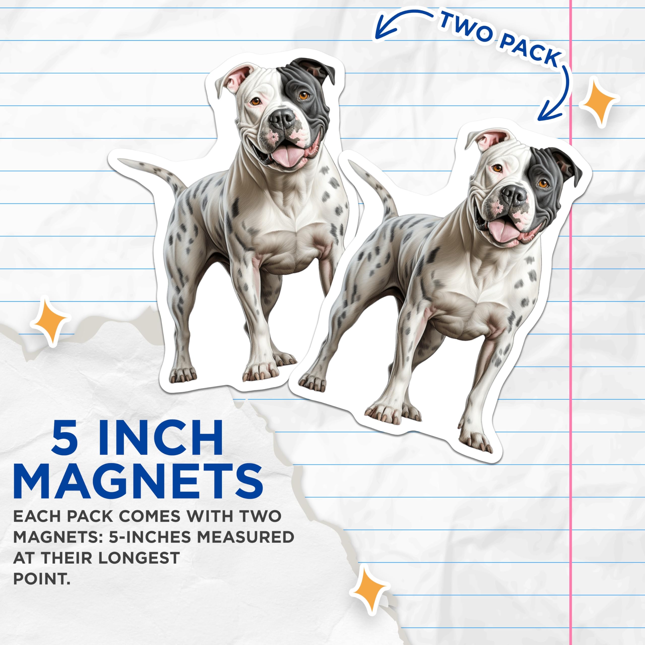 (2 Pack) Pitbull Dog Magnets - Realistic Pitbull Art - Black White Dog Lover Vehicle Magnets - Pet Refrigerator Decor - 5 Inches On Longest Side - Thick Durable Magnet - Made in USA - MAG30011