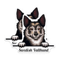 (2 Pack) Swedish Vallhund Magnets - Dog Lover Magnet - Pet Owner Car Magnets - 5" On Longest Side - for Cars, Fridges, Toolboxes - Made in USA - MAG4223