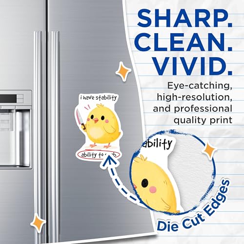 (2 Pack) Funny Chicken Magnets - Cute Animal Magnets - Humorous Kitchen Decor Magnets - 5" On Longest Side - for Cars, Refrigerators, Toolboxes, Lockers - Made in USA BMCS3313