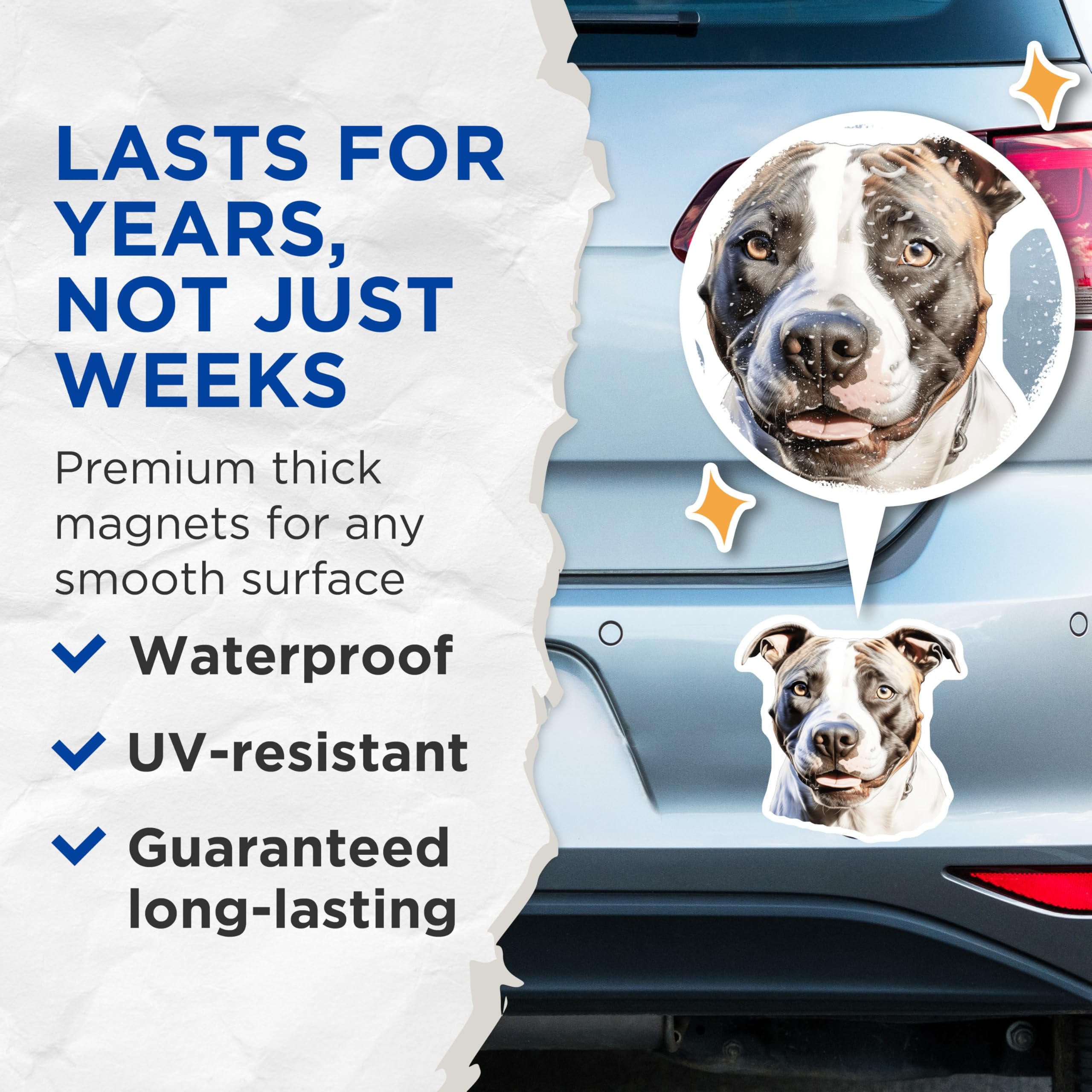 (2 Pack) American Staffy Magnets - Pitbull Dog Decor - Realistic Staffy Art - Dog Mom Accessories - Pet Parent Home Decor - 5 Inches On Longest Side - Thick Durable Magnet - Made in USA - MAG25776