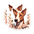 (2 Pack) Basenji Dog Magnets - Floral Cherry Blossom Pet Decor - Smiling Canine Refrigerator Art - 5 Inches On Longest Side - Thick Durable Magnet - Made in USA - MAG23724