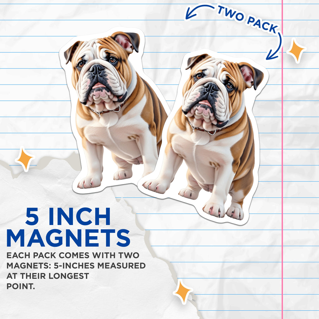(2 Pack) English Bulldog Dog Magnets - Pet Animal Lover Accessory - Fridge Kitchen Decor - Breed Art for Dog Owners - 5 Inches On Longest Side - Thick Durable Magnet - Made in USA - MAG36370