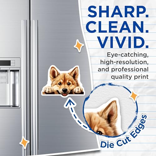 (2 Pack) Adorable Puppy Magnet - Pet Lover Kitchen Fridge Accessories - 5" On Longest Side - Sticks to Smooth Flat Surfaces - Made in USA - MAG10235